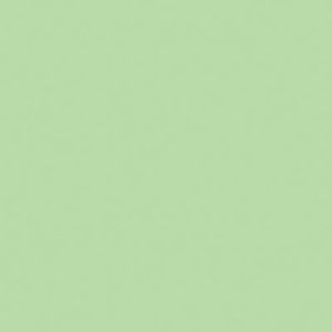 Meet your Posher, Isabel